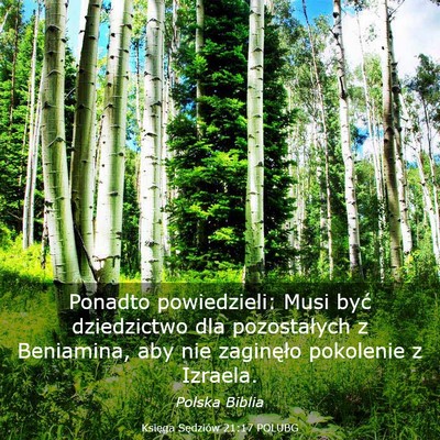 Picture 03 - Księga Sędziów 21:17 POLUBG - Ponadto powiedzieli: Musi być dziedzictwo dla - Bible Verse Picture