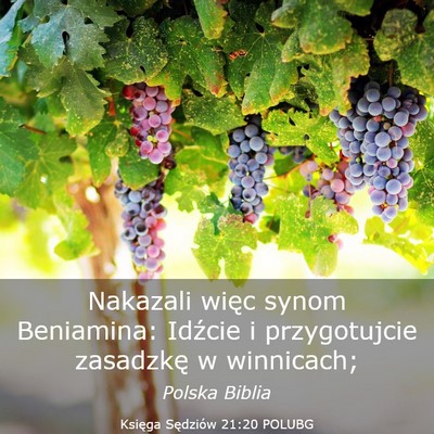 Picture 03 - Księga Sędziów 21:20 POLUBG - Nakazali więc synom Beniamina: Idźcie i - Bible Verse Picture