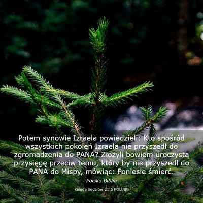 Picture 03 - Księga Sędziów 21:5 POLUBG - Potem synowie Izraela powiedzieli: Kto spośród - Bible Verse Picture