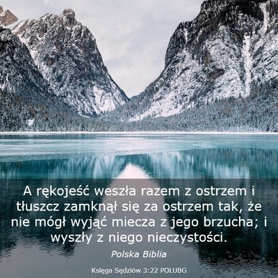 Picture 03 - Księga Sędziów 3:22 POLUBG - A rękojeść weszła razem z ostrzem i tłuszcz - Bible Verse Picture
