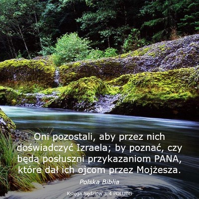 Picture 03 - Księga Sędziów 3:4 POLUBG - Oni pozostali, aby przez nich doświadczyć - Bible Verse Picture