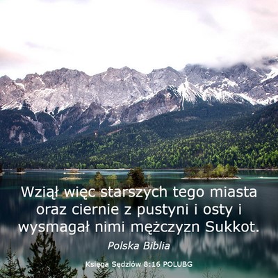 Picture 03 - Księga Sędziów 8:16 POLUBG - Wziął więc starszych tego miasta oraz ciernie - Bible Verse Picture