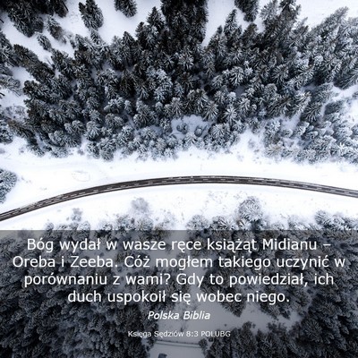 Picture 03 - Księga Sędziów 8:3 POLUBG - Bóg wydał w wasze ręce książąt Midianu – - Bible Verse Picture