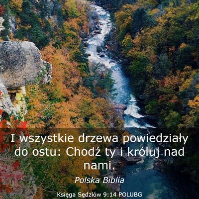 Picture 03 - Księga Sędziów 9:14 POLUBG - I wszystkie drzewa powiedziały do ostu: Chodź - Bible Verse Picture