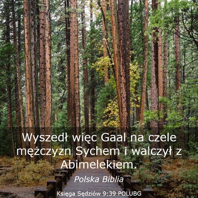 Picture 03 - Księga Sędziów 9:39 POLUBG - Wyszedł więc Gaal na czele mężczyzn Sychem i - Bible Verse Picture