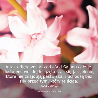 Picture 03 - Lamentacje 1:6 POLUBG - A tak odjęte zostało od córki Syjonu całe jej - Bible Verse Picture