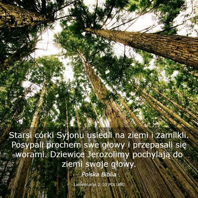 Picture 03 - Lamentacje 2:10 POLUBG - Starsi córki Syjonu usiedli na ziemi i zamilkli. - Bible Verse Picture
