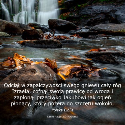 Picture 03 - Lamentacje 2:3 POLUBG - Odciął w zapalczywości swego gniewu cały róg - Bible Verse Picture