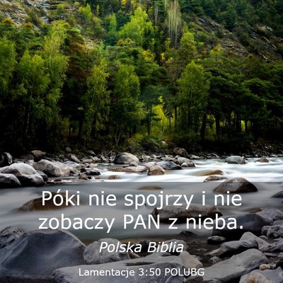 Picture 03 - Lamentacje 3:50 POLUBG - Póki nie spojrzy i nie zobaczy PAN z - Bible Verse Picture