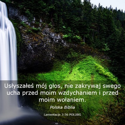 Picture 03 - Lamentacje 3:56 POLUBG - Usłyszałeś mój głos, nie zakrywaj swego ucha - Bible Verse Picture