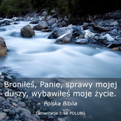 Picture 03 - Lamentacje 3:58 POLUBG - Broniłeś, Panie, sprawy mojej duszy, - Bible Verse Picture