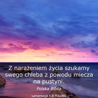 Picture 03 - Lamentacje 5:9 POLUBG - Z narażeniem życia szukamy swego chleba z - Bible Verse Picture