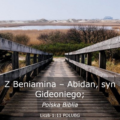 Picture 03 - Liczb 1:11 POLUBG - Z Beniamina – Abidan, syn - Bible Verse Picture