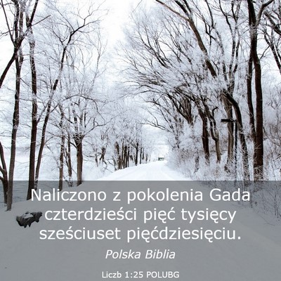 Picture 03 - Liczb 1:25 POLUBG - Naliczono z pokolenia Gada czterdzieści pięć - Bible Verse Picture