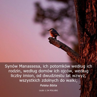 Picture 03 - Liczb 1:34 POLUBG - Synów Manassesa, ich potomków według ich - Bible Verse Picture