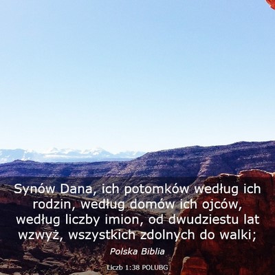 Picture 03 - Liczb 1:38 POLUBG - Synów Dana, ich potomków według ich rodzin, - Bible Verse Picture