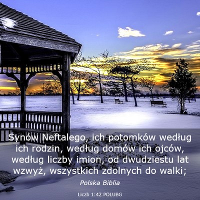 Picture 03 - Liczb 1:42 POLUBG - Synów Neftalego, ich potomków według ich - Bible Verse Picture