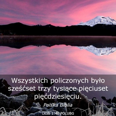Picture 03 - Liczb 1:46 POLUBG - Wszystkich policzonych było sześćset trzy - Bible Verse Picture