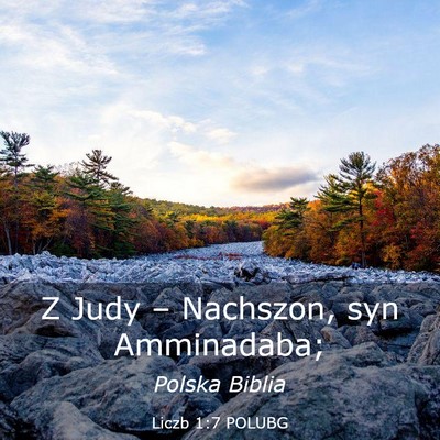 Picture 03 - Liczb 1:7 POLUBG - Z Judy – Nachszon, syn - Bible Verse Picture