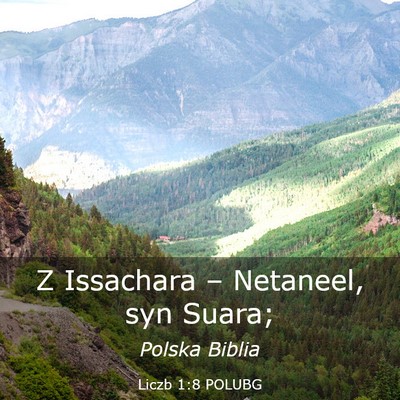 Picture 03 - Liczb 1:8 POLUBG - Z Issachara – Netaneel, syn - Bible Verse Picture