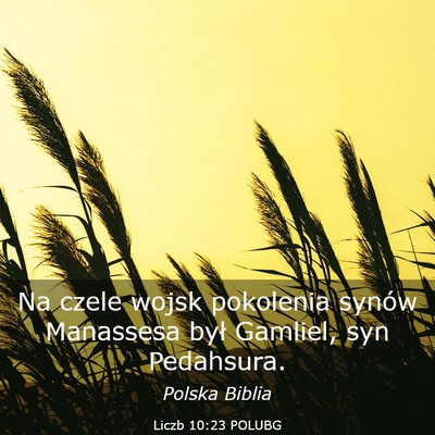 Picture 03 - Liczb 10:23 POLUBG - Na czele wojsk pokolenia synów Manassesa był - Bible Verse Picture