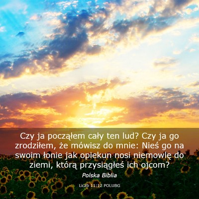 Picture 03 - Liczb 11:12 POLUBG - Czy ja począłem cały ten lud? Czy ja go - Bible Verse Picture