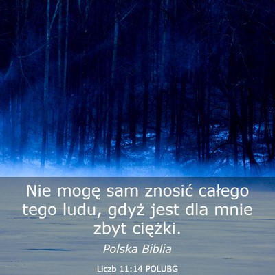 Picture 03 - Liczb 11:14 POLUBG - Nie mogę sam znosić całego tego ludu, gdyż - Bible Verse Picture