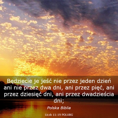 Picture 03 - Liczb 11:19 POLUBG - Będziecie je jeść nie przez jeden dzień ani - Bible Verse Picture