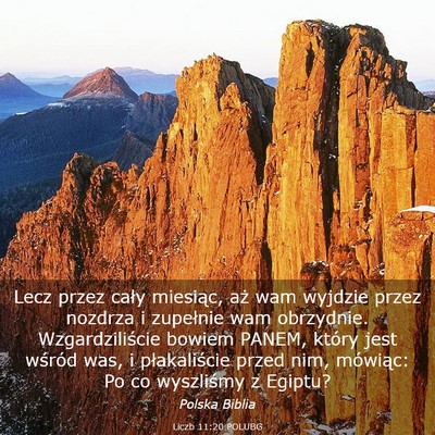 Picture 03 - Liczb 11:20 POLUBG - Lecz przez cały miesiąc, aż wam wyjdzie przez - Bible Verse Picture