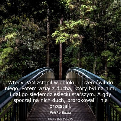 Picture 03 - Liczb 11:25 POLUBG - Wtedy PAN zstąpił w obłoku i przemówił do - Bible Verse Picture