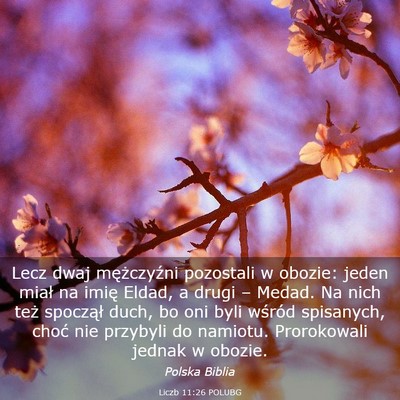 Picture 03 - Liczb 11:26 POLUBG - Lecz dwaj mężczyźni pozostali w obozie: jeden - Bible Verse Picture