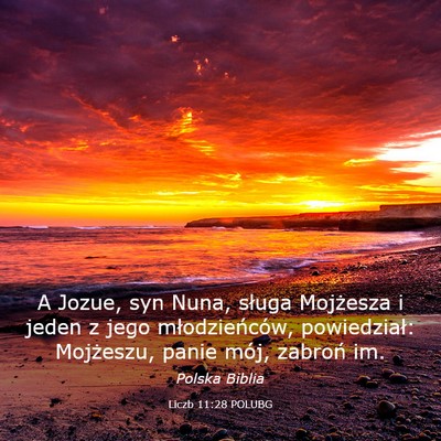 Picture 03 - Liczb 11:28 POLUBG - A Jozue, syn Nuna, sługa Mojżesza i jeden z - Bible Verse Picture
