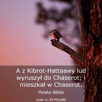 Picture 03 - Liczb 11:35 POLUBG - A z Kibrot-Hattaawy lud wyruszył do Chaserot; i - Bible Verse Picture