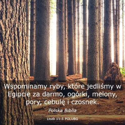 Picture 03 - Liczb 11:5 POLUBG - Wspominamy ryby, które jedliśmy w Egipcie za - Bible Verse Picture