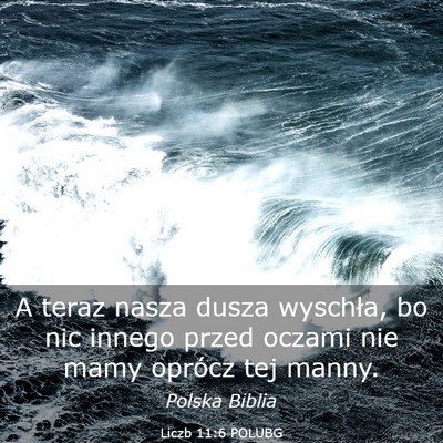Picture 03 - Liczb 11:6 POLUBG - A teraz nasza dusza wyschła, bo nic innego przed - Bible Verse Picture
