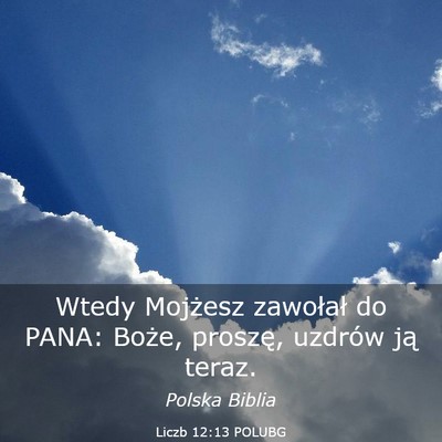 Picture 03 - Liczb 12:13 POLUBG - Wtedy Mojżesz zawołał do PANA: Boże, proszę, - Bible Verse Picture
