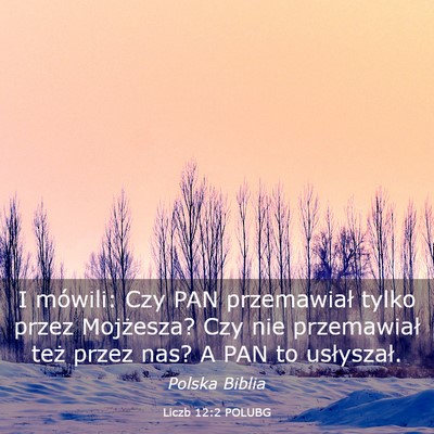 Picture 03 - Liczb 12:2 POLUBG - I mówili: Czy PAN przemawiał tylko przez - Bible Verse Picture