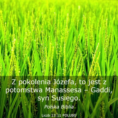 Picture 03 - Liczb 13:11 POLUBG - Z pokolenia Józefa, to jest z potomstwa - Bible Verse Picture