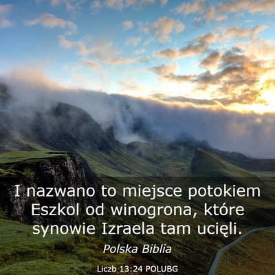 Picture 03 - Liczb 13:24 POLUBG - I nazwano to miejsce potokiem Eszkol od - Bible Verse Picture