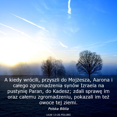 Picture 03 - Liczb 13:26 POLUBG - A kiedy wrócili, przyszli do Mojżesza, Aarona i - Bible Verse Picture