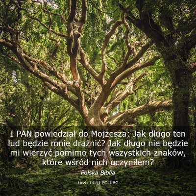 Picture 03 - Liczb 14:11 POLUBG - I PAN powiedział do Mojżesza: Jak długo ten - Bible Verse Picture