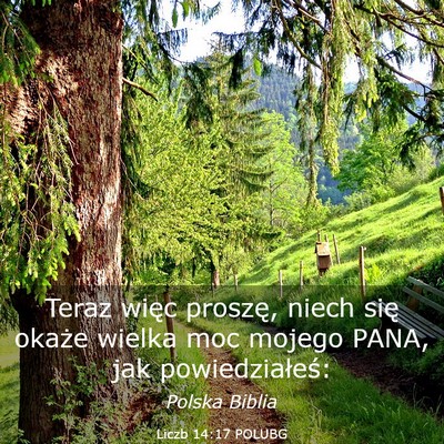 Picture 03 - Liczb 14:17 POLUBG - Teraz więc proszę, niech się okaże wielka moc - Bible Verse Picture