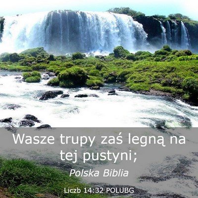 Picture 03 - Liczb 14:32 POLUBG - Wasze trupy zaś legną na tej - Bible Verse Picture