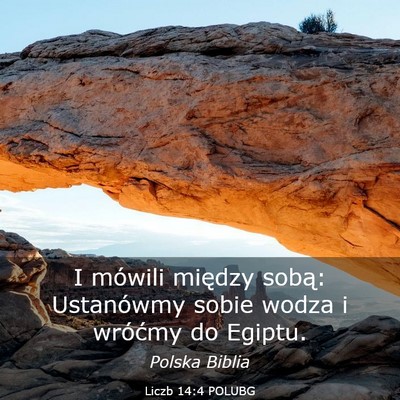 Picture 03 - Liczb 14:4 POLUBG - I mówili między sobą: Ustanówmy sobie wodza i - Bible Verse Picture