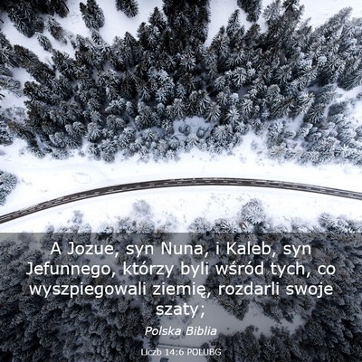 Picture 03 - Liczb 14:6 POLUBG - A Jozue, syn Nuna, i Kaleb, syn Jefunnego, - Bible Verse Picture