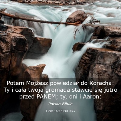 Picture 03 - Liczb 16:16 POLUBG - Potem Mojżesz powiedział do Koracha: Ty i cała - Bible Verse Picture
