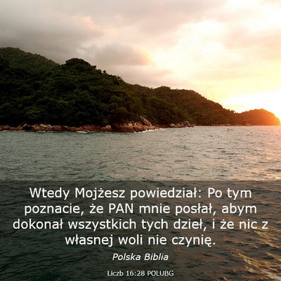 Picture 03 - Liczb 16:28 POLUBG - Wtedy Mojżesz powiedział: Po tym poznacie, że - Bible Verse Picture