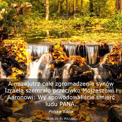 Picture 03 - Liczb 16:41 POLUBG - A nazajutrz całe zgromadzenie synów Izraela - Bible Verse Picture