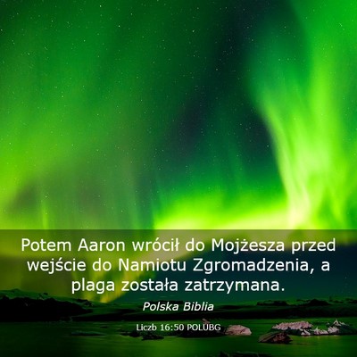 Picture 03 - Liczb 16:50 POLUBG - Potem Aaron wrócił do Mojżesza przed wejście - Bible Verse Picture