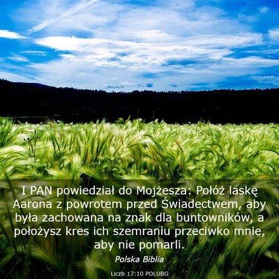 Picture 03 - Liczb 17:10 POLUBG - I PAN powiedział do Mojżesza: Połóż laskę - Bible Verse Picture
